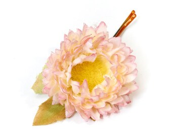 Bloom, Flower, Bobby Pin