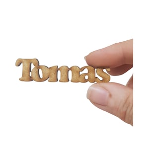 Marqueurs de place en bois personnalisés : touche unique pour vos célébrations et événements, détails des invités, cadeau de mariage