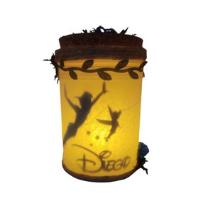 Peter pan and Tinkerbell, captured in jar light, children&#39;s, led, fairy in jar, night light, mood light, ambient light