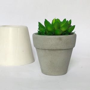 May include: A small, grey concrete planter with a green succulent plant and a separate off-white ceramic pot. The succulent has vibrant green leaves. The pots are on a white background.