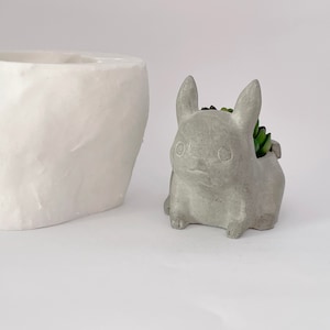 May include: A gray concrete planter shaped like a rabbit with a small green succulent plant inside. The planter has a cute face with two eyes and a smile.  There is a white concrete planter in the background.