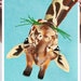 see more listings in the Giraffes section