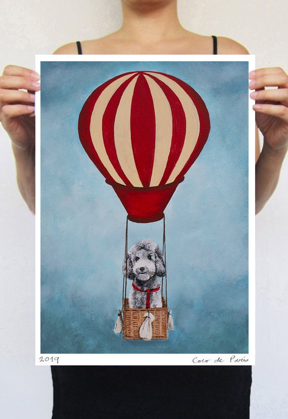 Caniche avec Airballoon Idée Cadeau Chat Originale ou Tout Simplement Une Belle Pour Mettre Un Souri