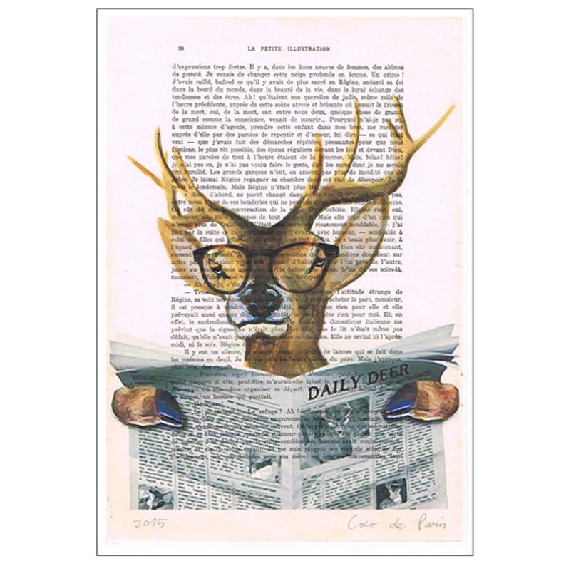 книга с оленем на обложке. книги про северного оленя. книги про оленей. олень читать. книги про оленей.