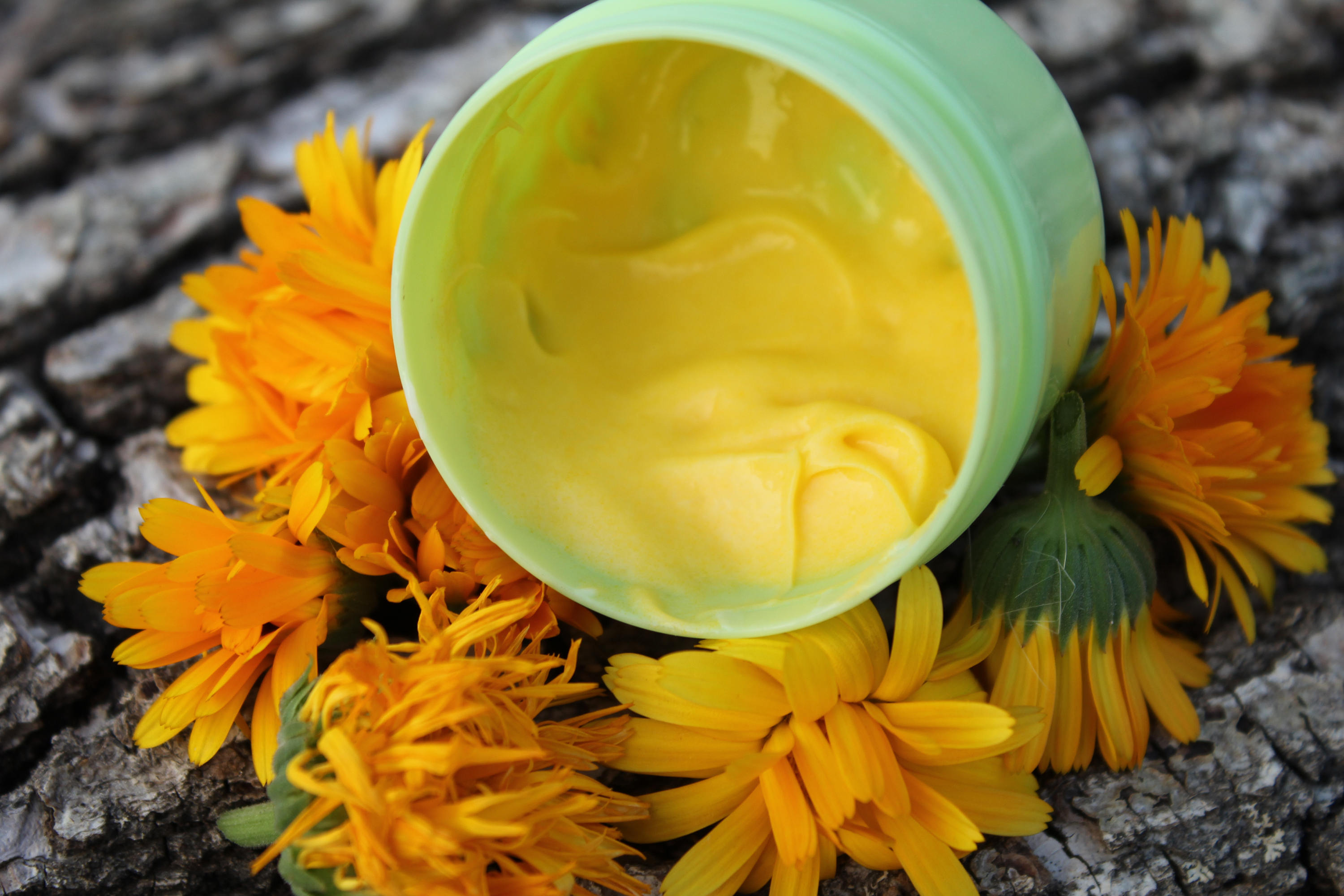 Calendula face Organic Calendula Face Cream Calendula skin Etsy