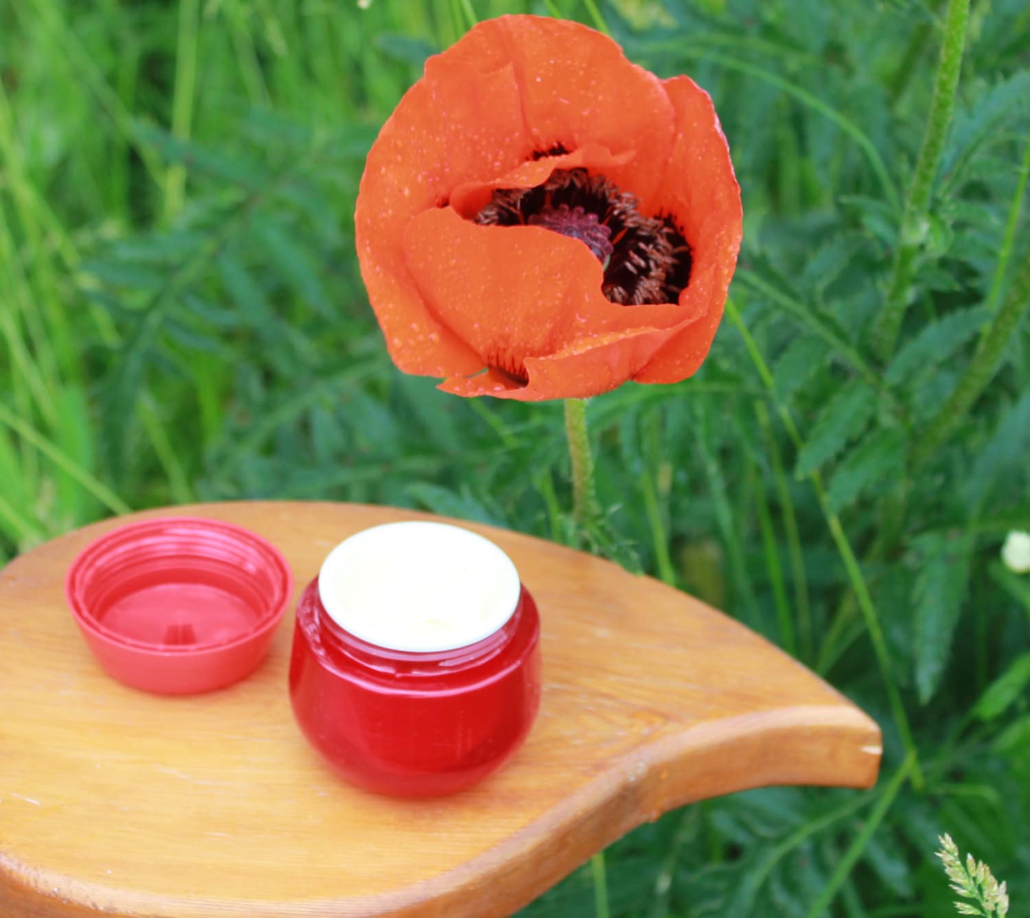 Organic Pomegranate face cream Poppy seed oil cream Organic Etsy