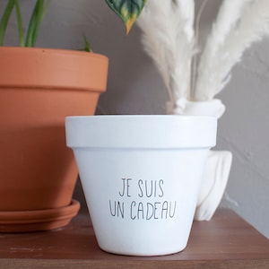 Mini Pot De Fleurs Amusant En Résine En Forme De Corps Masculin