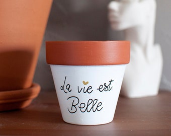 Terracotta flowerpot / cache pot: Life is beautiful