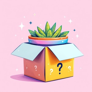 Op de afbeelding: Een gele en roze doos met vraagtekens aan de voorkant. De doos is open en een groene succulent in een kleurrijke pot zit erin.