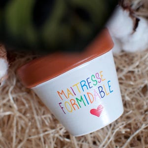 Peut inclure: Un petit pot en céramique blanc avec un bord marron. Le pot porte les mots "MAITRESSE FORMIDABLE" en couleurs arc-en-ciel et un cœur rouge. Le pot est posé sur un lit de paille.