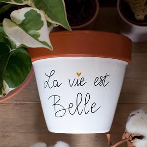 Peut inclure: Pot de fleur peint en blanc et marron avec l'inscription "La vie est Belle" en écriture noire. Un petit cœur jaune est au-dessus du mot "est". Le pot contient de la terre et une plante verte à feuilles bordées de blanc. Le pot est sur une surface en bois.