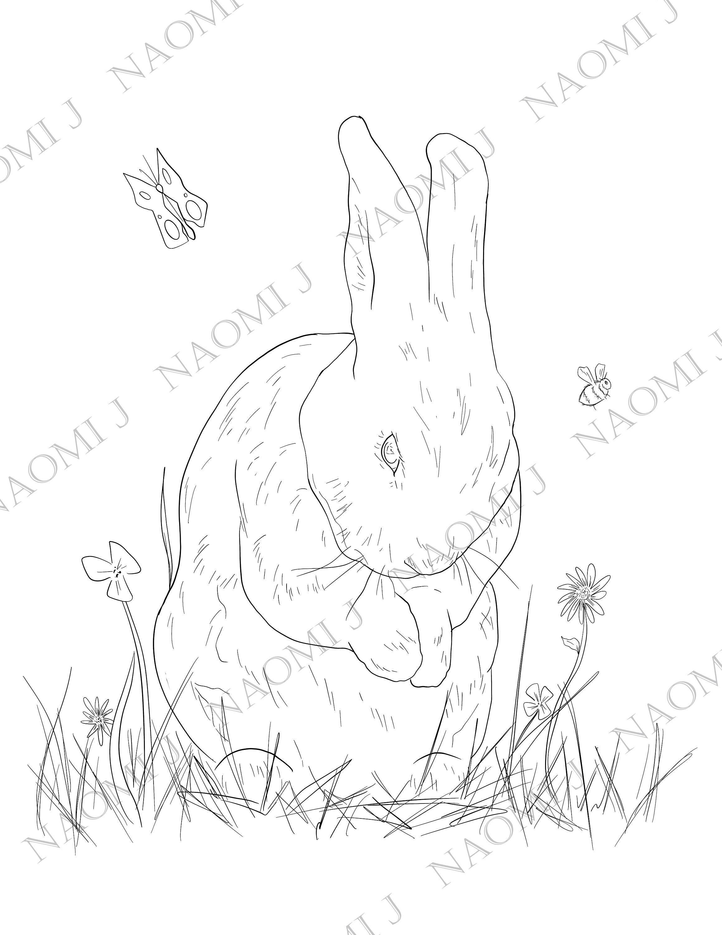 Spring Bunny Coloring Page Kid's Printable PDF Digital | Etsy