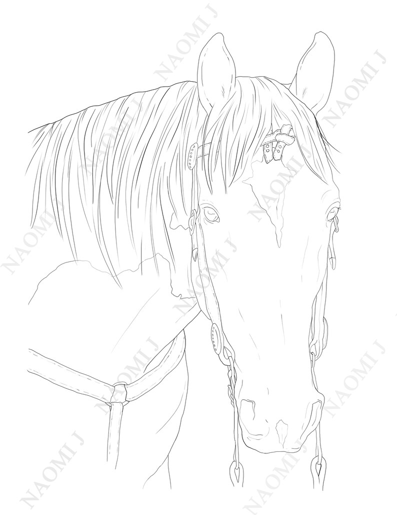 Horse Coloring Page Kids Printable Equine | Etsy