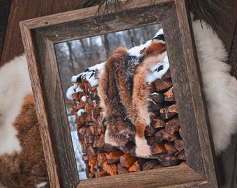 Coyote Pelt Digitale download Art Print fotografie