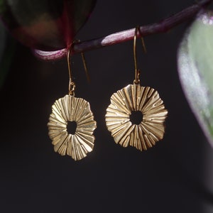 May include: A pair of gold-colored earrings. Each earring features a circular, sunburst-like design with a central opening. The earrings hang from delicate gold-colored hooks. The background is dark, with hints of green and purple foliage.