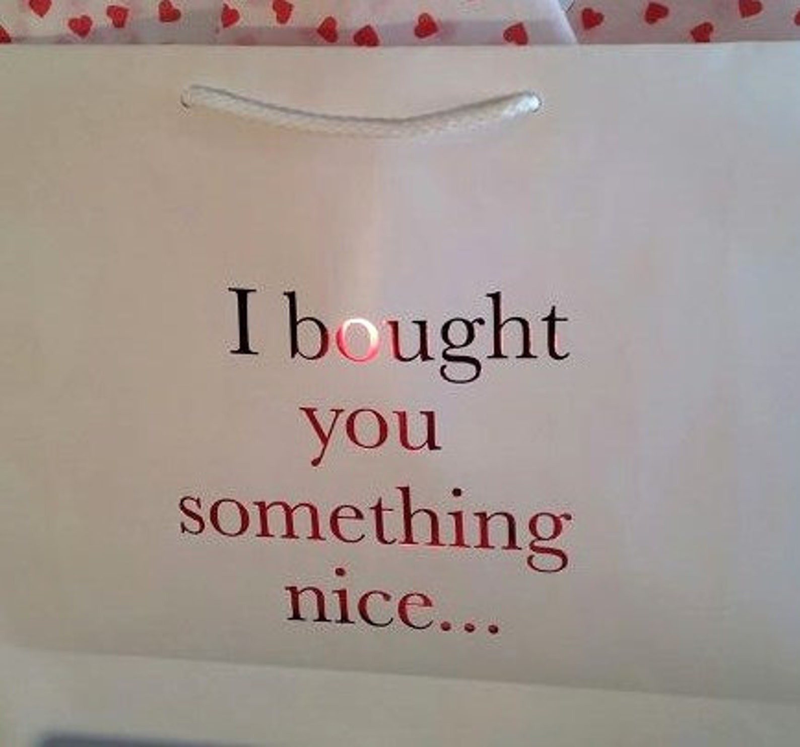 Sale 3 for 15 I bought you something nice... Gift Bag | Etsy