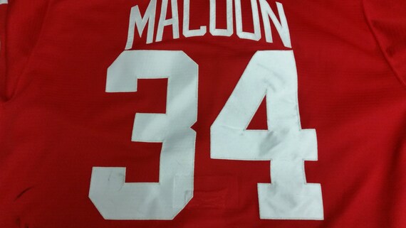 red wings game worn jersey