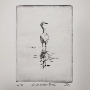 Standing Bird Etching Print in Water, Unmatted