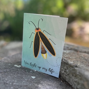 You Light Up My Life Firefly Card with Cute Funny Saying