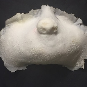 WHO Nose - Foam Latex SFX Makeup Prosthetic
