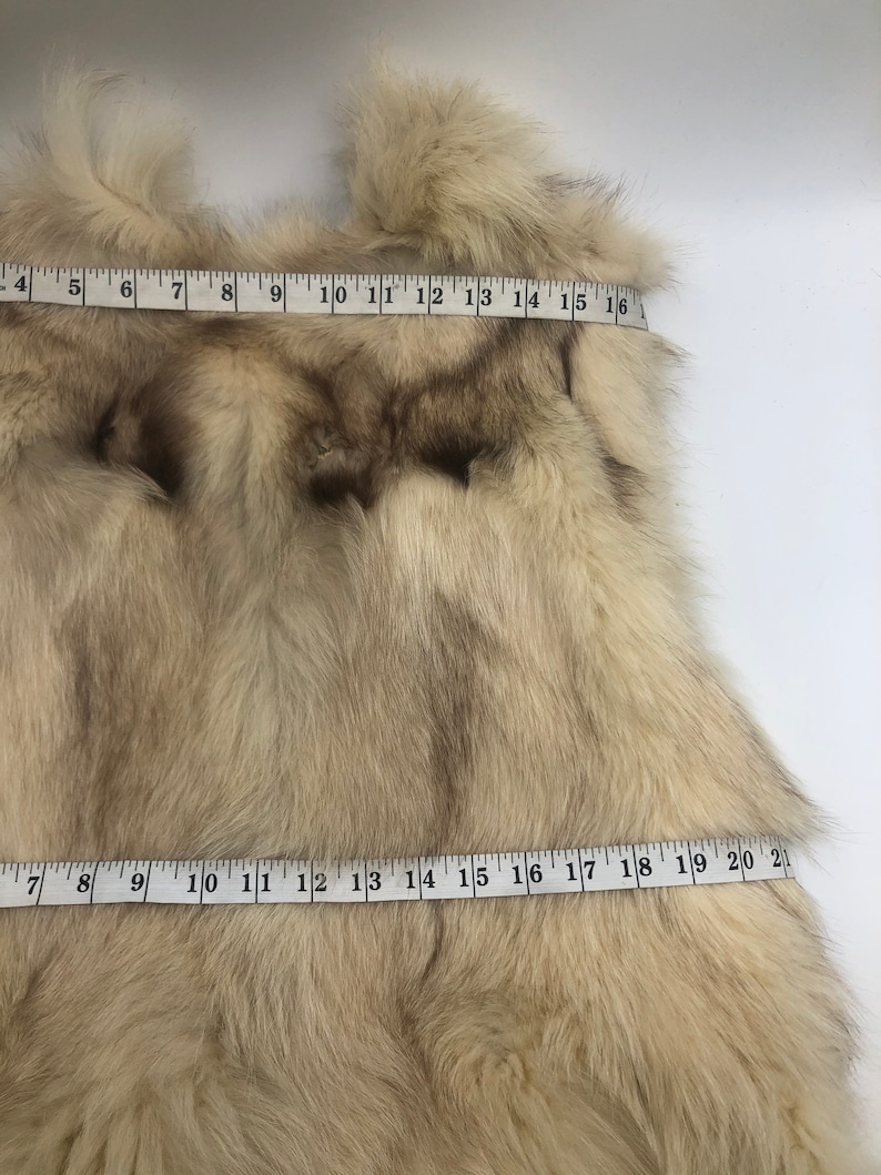 Beige polar fox vest with tail collar woman size M.