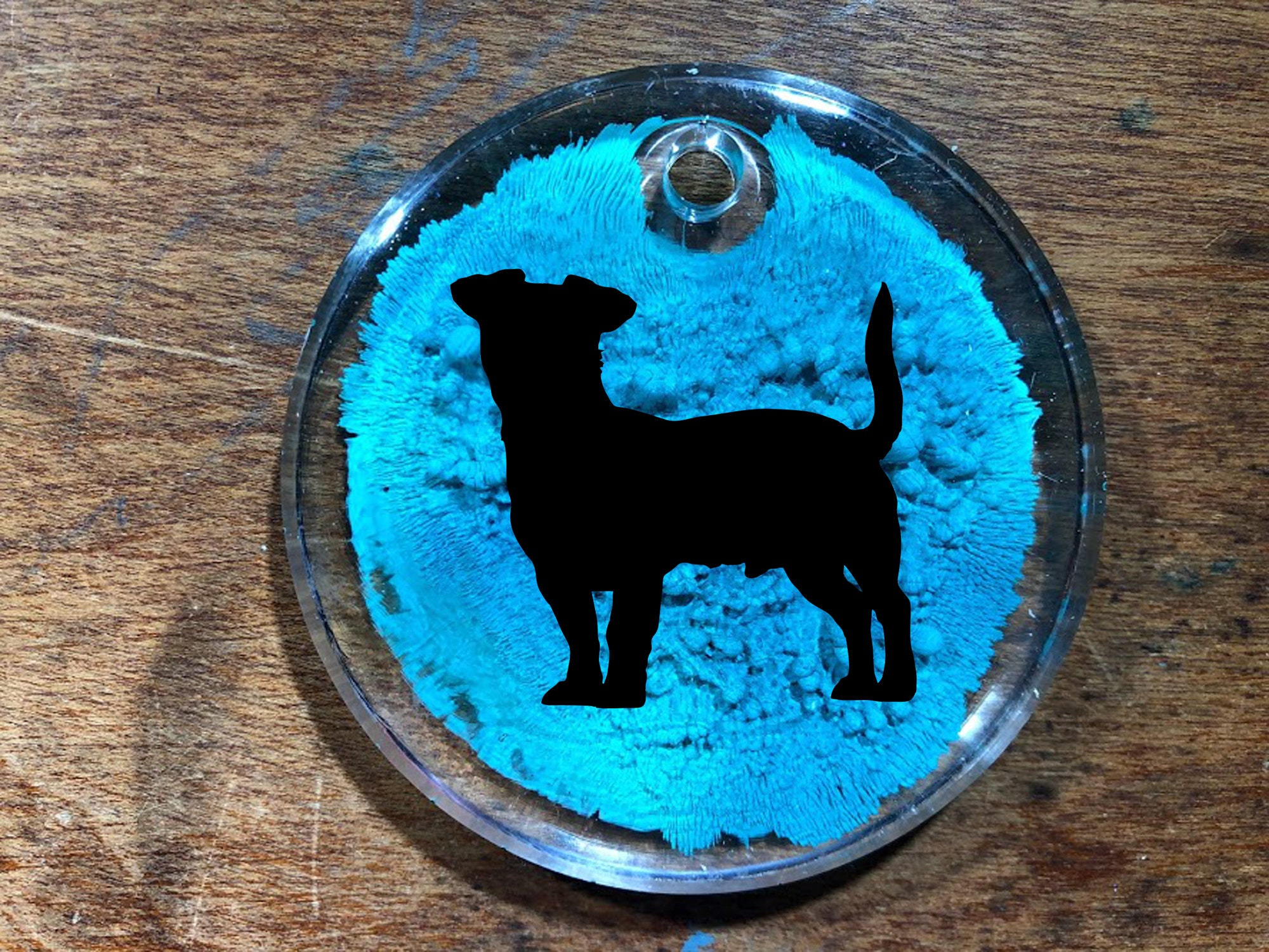 Jack Russell Dog Ornament Home decor Handmade resin dog | Etsy