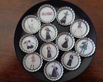 Bleach Bottlecap Magnets!