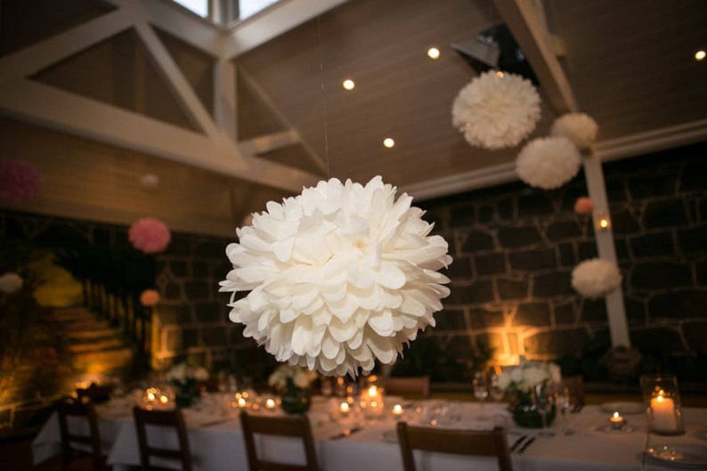 Bride To Be Bridal Shower Flower Pom Poms Birthday 3 Pink Tissue Paper Pom Poms Wedding Decorations