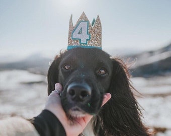 Teal & Gold Crown | Birthday Crown | Baby 1st Birthday | 1/2 Birthday | 6 months Old | first birthday Crown | Dog Crown | Dog Birthday