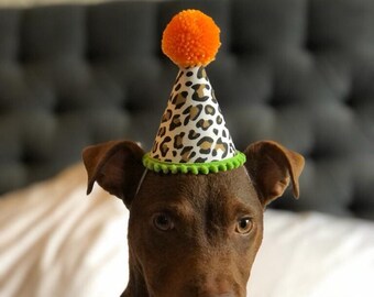 Wild One party | Safari birthday | Leopard birthday | Cheetah birthday, | Jungle party | Party animal | Shes a wild one | Two Wild | Pawty