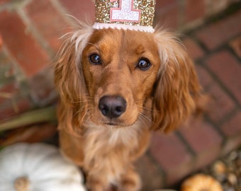 Couronne d'anniversaire | Anniversaire chien | Couronne de fête | tenue pour chien | chiot 1er anniversaire | Tenue de chiot | chapeau pour chien | 1er anniversaire | 2e anniversaire |