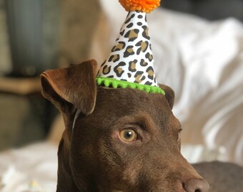 Dog Safari Hat - Etsy UK