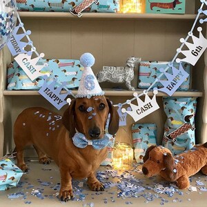 Birthday Party Hat Dog party Baby birthday Puppy First Birthday Dog Party Hats First Birthday party hat Dog Outfits image 8