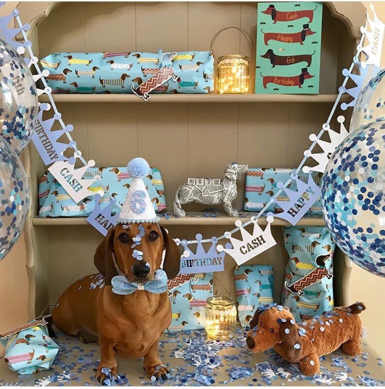 Birthday Party Hat Dog party Baby birthday Puppy First Birthday Dog Party Hats First Birthday party hat Dog Outfits image 2