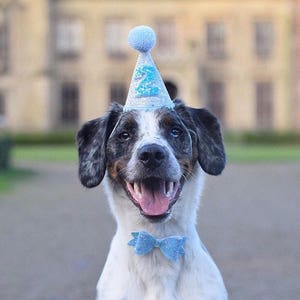 Birthday Party Hat Dog party Baby birthday Puppy First Birthday Dog Party Hats First Birthday party hat Dog Outfits image 4