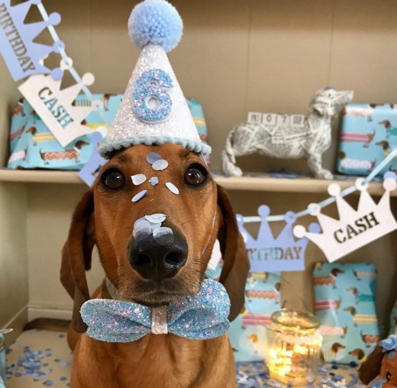 Birthday Party Hat Dog party Baby birthday Puppy First Birthday Dog Party Hats First Birthday party hat Dog Outfits image 1