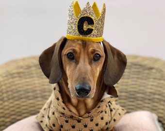Birthday Crown | Dog Birthday Hat | First birthday Crown | Baby 1st Birthday | Pawty | Dog party hats | Initials hat | Dog crown