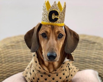 Couronne d'anniversaire | Chapeau d'anniversaire pour chien | Couronne du premier anniversaire | Bébé 1er anniversaire | Pawty | Chapeaux de fête pour chiens | Chapeau Initiales | Couronne de chien