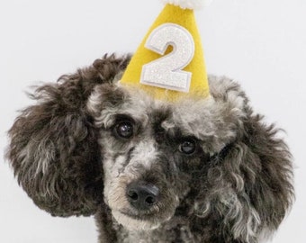 1er anniversaire | Chapeau de fête | 3e anniversaire | 4e anniversaire | chapeaux de fête pour filles | Tenue d'anniversaire pour chien | Feutre moutarde | Smash cake photo personnalisé