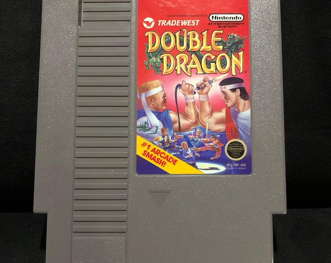 Double Dragon Nintendo Entertainment System NES