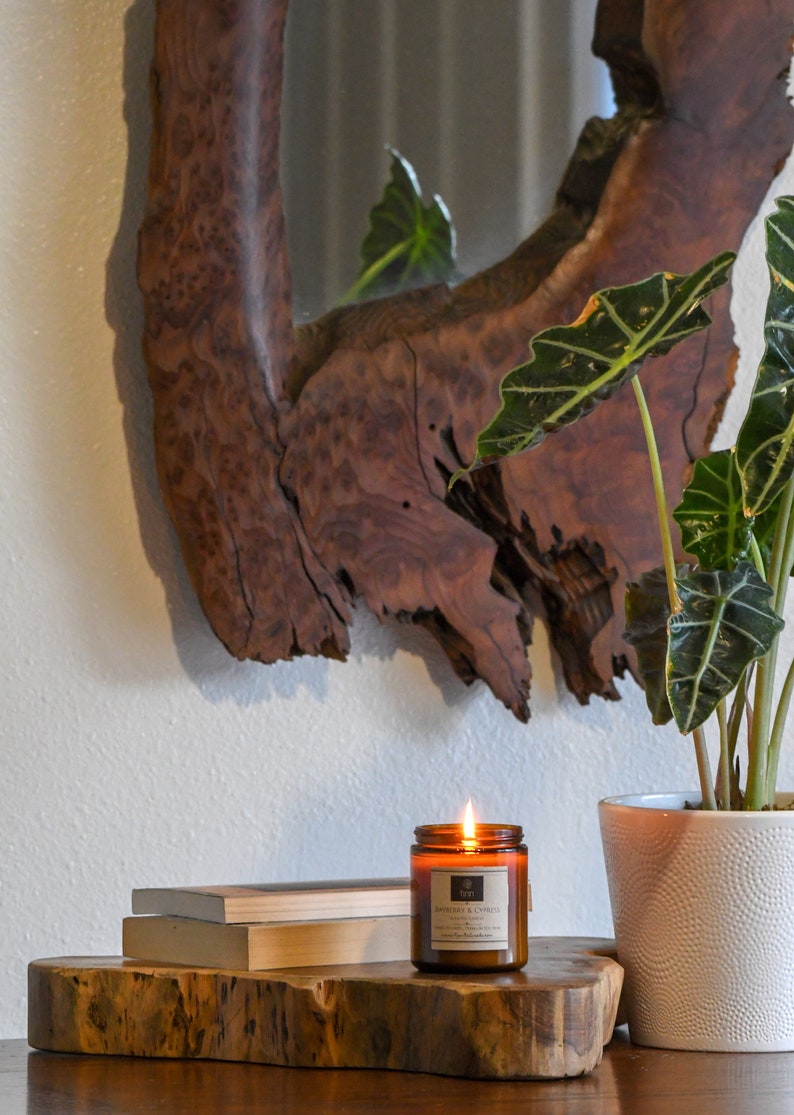 Hand Poured Premium TOMATO LEAF Scented Soy Candle ~ 9 oz