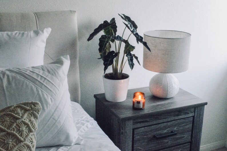 Hand Poured Premium TOMATO LEAF Scented Soy Candle ~ 9 oz
