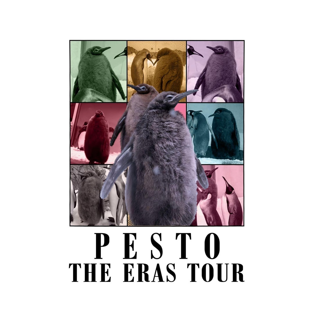 Pesto the Penguin Baby Hippo Bouncy Pig Digital PNG. Etsy