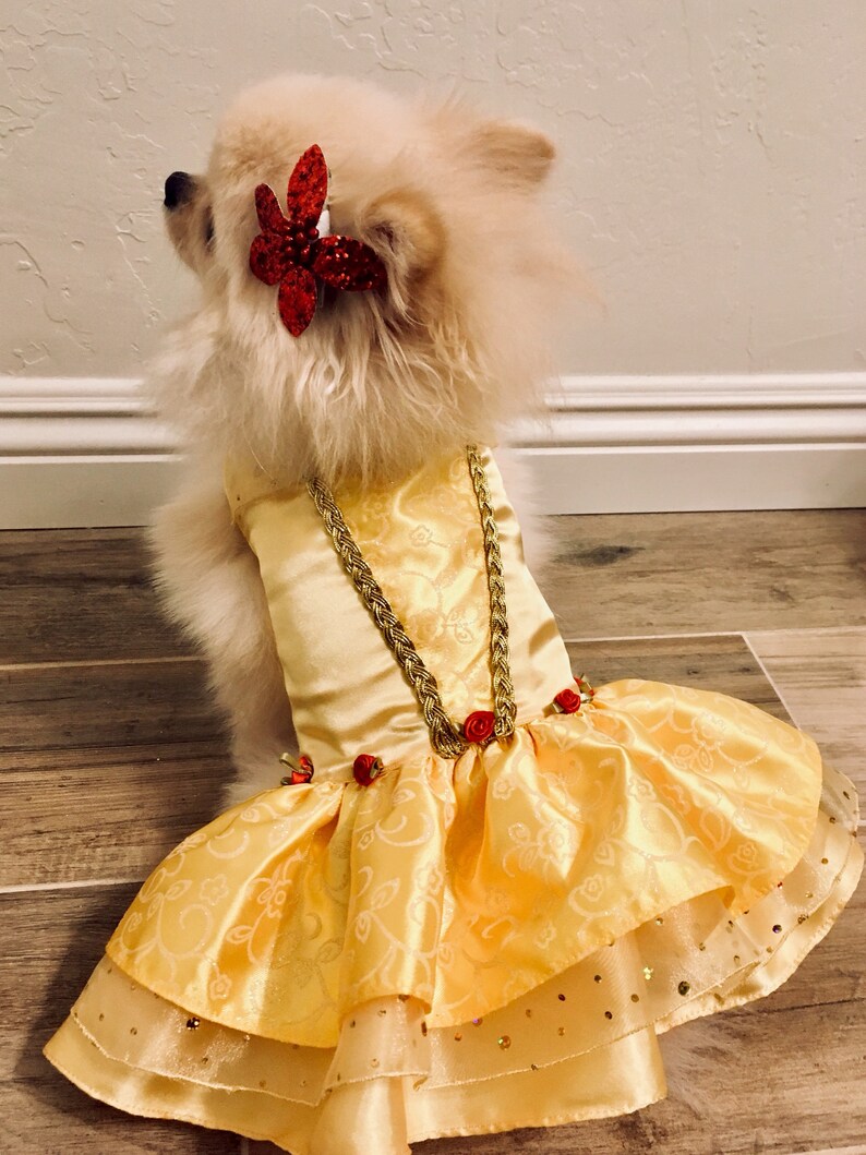 dog princess dress