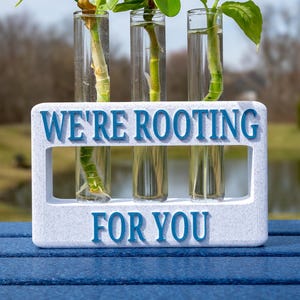 Station de multiplication des plantes : support pour tubes à essai imprimé en 3D - « Nous sommes là pour vous »