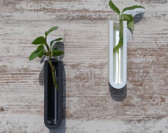 Bud Vase for Wall Plant Propagation Station Test Tube Holder
