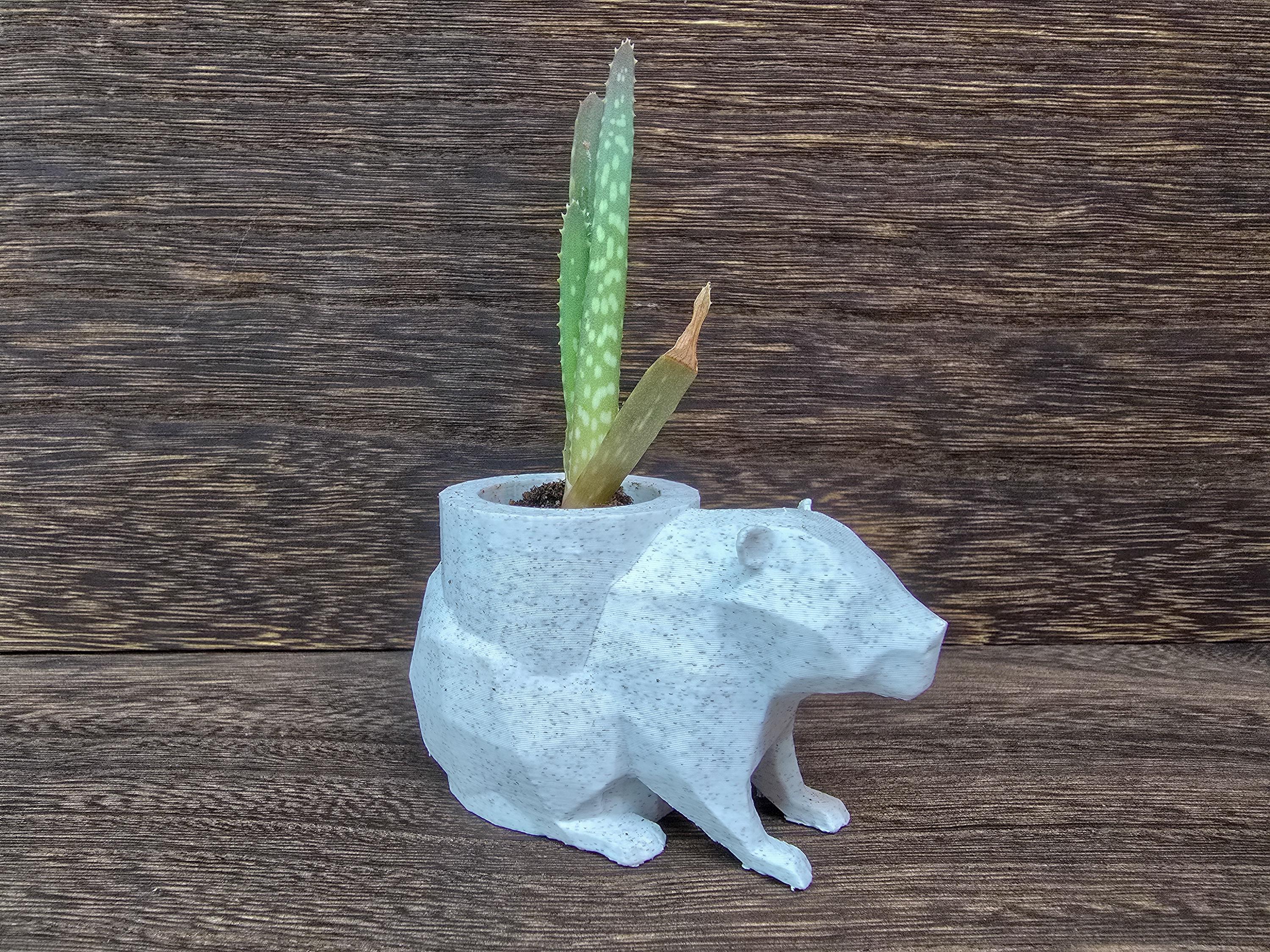Capybara Blumentopf Set – 2 Stück, Süße Sukkulententöpfe Als Tischdekoration | Perfekt Für Pflanzenfans