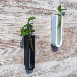 Wall Propagation Station | Plant Cuttings Vase | Plant Cutting Holder | Hanging Bud Vase | Indoor Wall Mount Planter Boho Arch Minimalist Lg