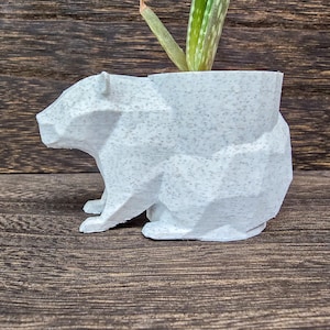 Einzigartiges Capybara Geschenk - Sukkulenten Stecklinge Pflanzgefäß - Luftpflanzen Display - Fensterbank Pflanzgefäß Kräuter