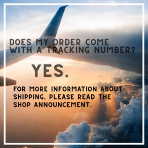 May include: A plane wing against a cloudy sky with the text "DOES MY ORDER COME WITH A TRACKING NUMBER? YES. FOR MORE INFORMATION ABOUT SHIPPING, PLEASE READ THE SHOP ANNOUNCEMENT."